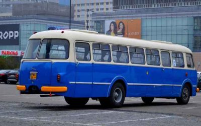 Zwerf-Polen dagelijks met busjes naar thuisland gebracht