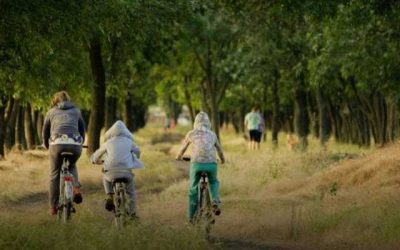 Jeugdbescherming: ‘Te weinig crisisplekken in de zomer’