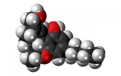 Minder psychoses door minder THC in cannabis