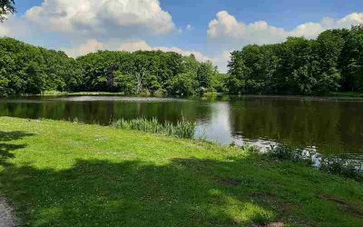 Dakloze mag in Twente zijn tent opslaan in het bos