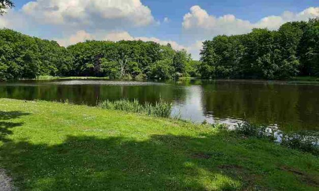 Dakloze mag in Twente zijn tent opslaan in het bos