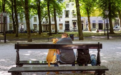 Telling dak- en thuisloosheid – ervaringen in België