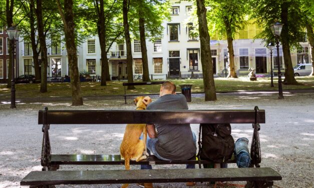 NOS: Experts waarschuwen: stop met delen van ‘mensonwaardige’ beelden van daklozen