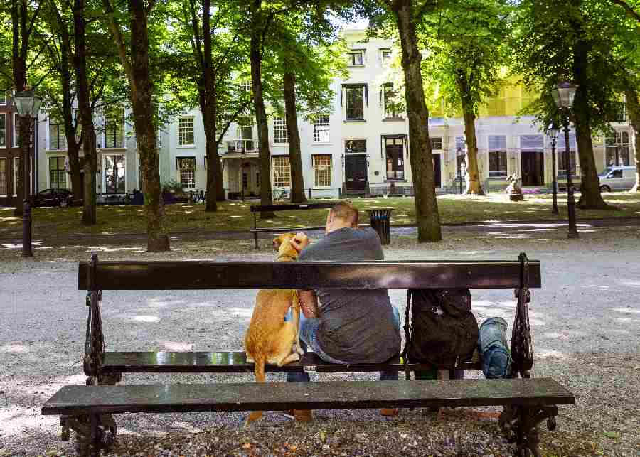 Den Haag telt in een jaar tijd schrikbarend meer daklozen, waaronder gezinnen en jongeren