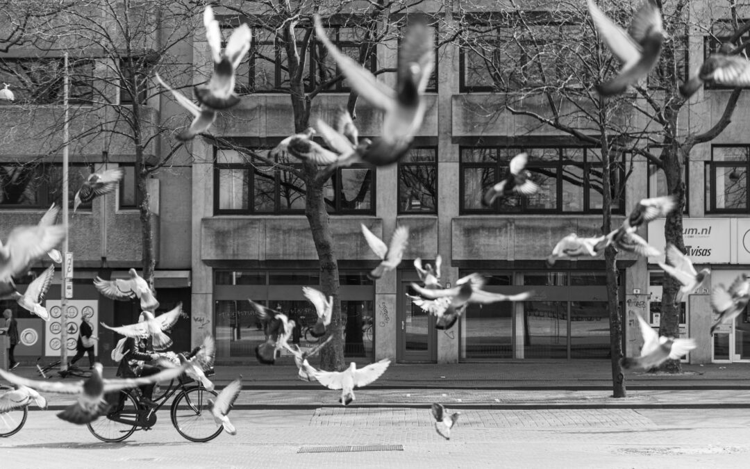 Samenwerkende bijdrage voor het Verkiezingsprogramma Tweede Kamerverkiezingen 2023