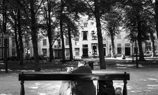 Nieuw thuis op Park Rosenburg geeft jongere eindelijk rust