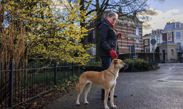 Waarom Straat Consulaat meedoet aan de ETHOS-telling: Samen maken we dakloosheid zichtbaar