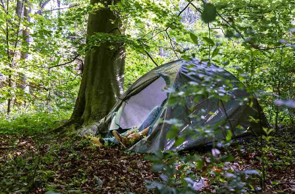 Boswachter Mark Kras: Daklozen in de shit in het Haagse Bos
