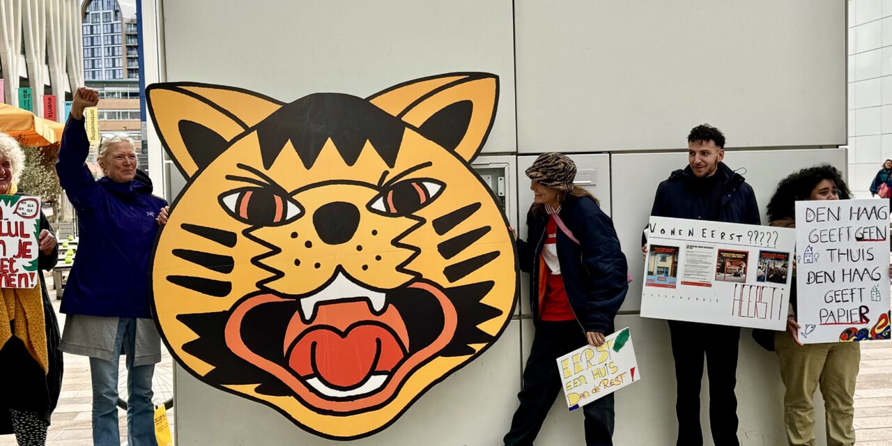 “Het beleidskader is een papieren tijger geworden