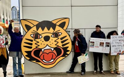 “Het beleidskader is een papieren tijger geworden