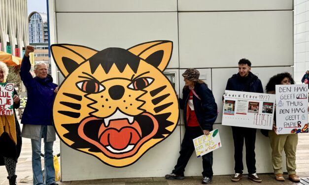 “Het beleidskader is een papieren tijger geworden