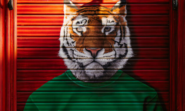 Papieren Tijger voor stadhuis: “Den Haag geeft geen thuis, Den Haag geeft papier”