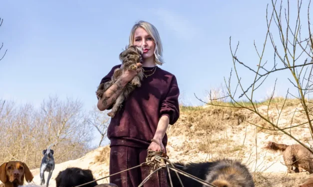 “Dakloosheid zou niet moeten bestaan”