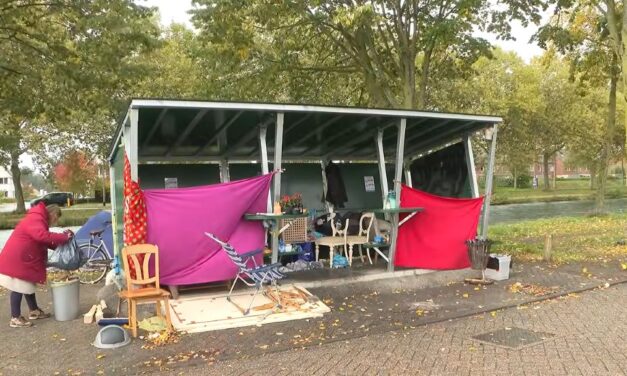 {Video}  Illegaal daklozen-bouwsel in Helmond zorgt voor onvrede: ‘Privacy!’